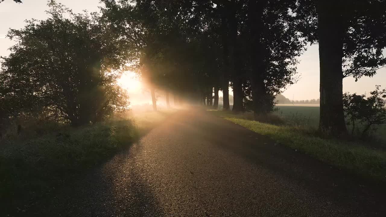 A tree lined country road at sunrise in Bowie County