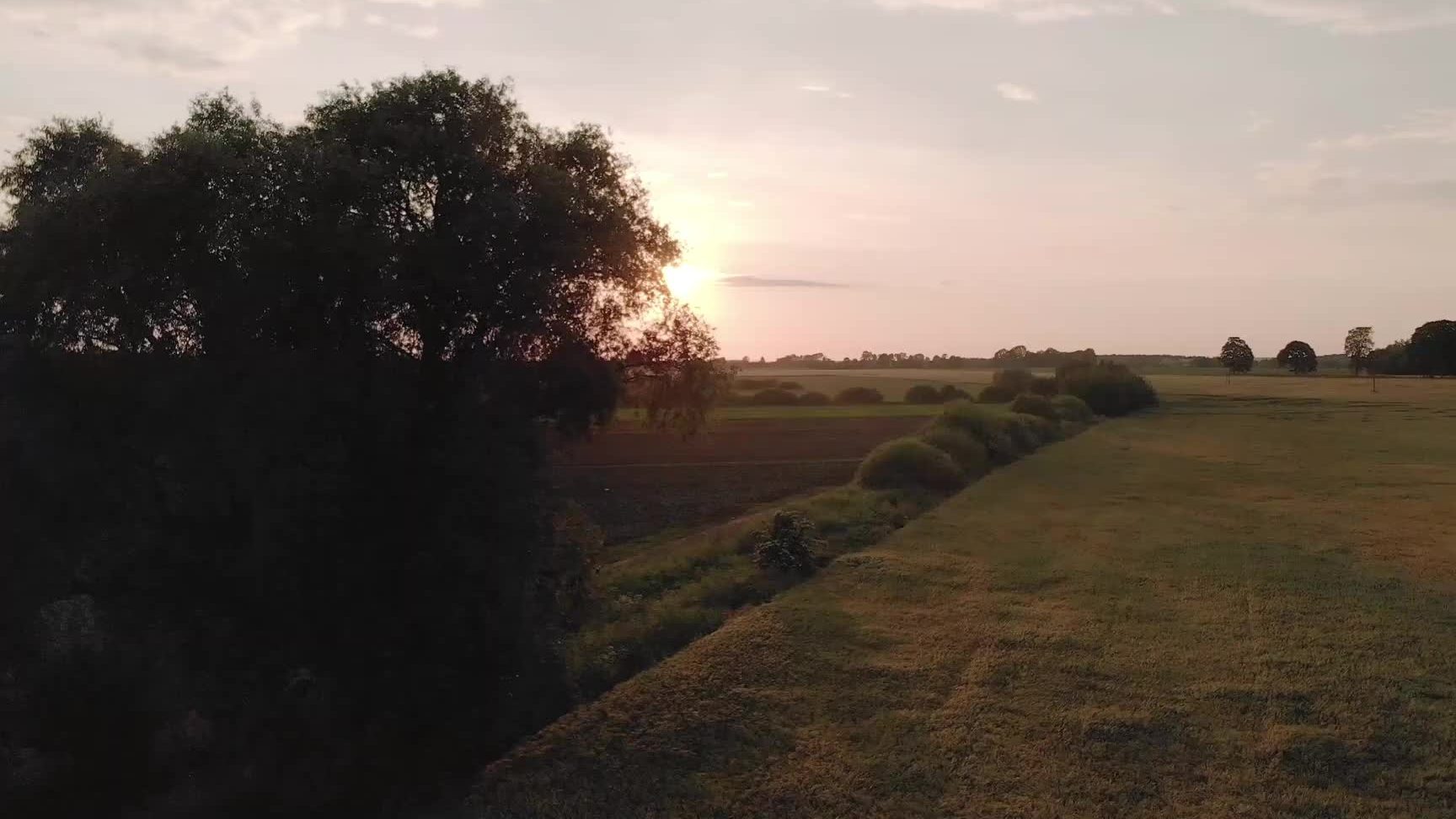 A Bowie County field at sunset